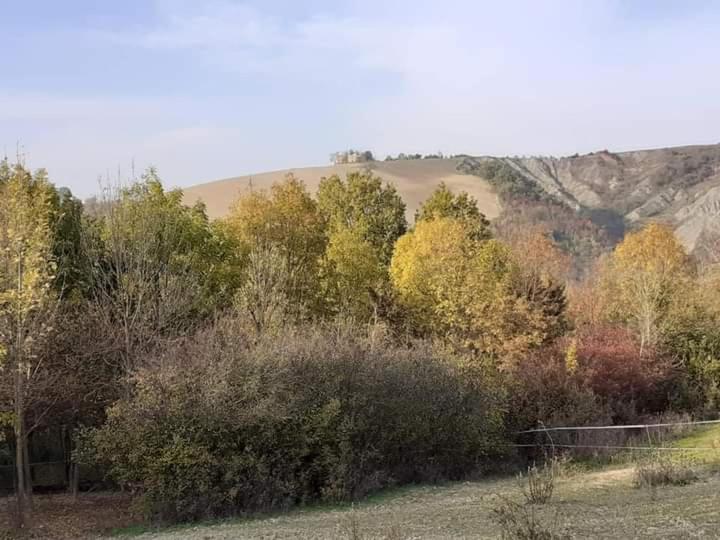 Ferienwohnung Ai Boschi Ozzano dell’Emilia Exterior foto