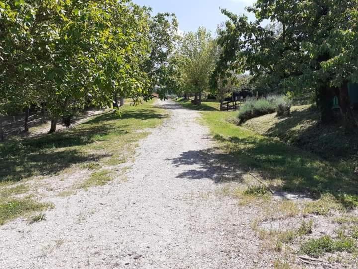 Ferienwohnung Ai Boschi Ozzano dell’Emilia Exterior foto